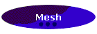Mesh